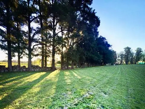Terreno en Venta en Cañuelas, Partido de Cañuelas