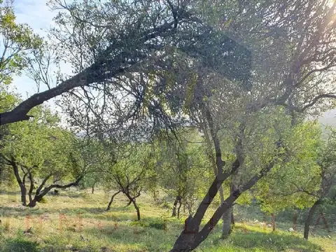 Terreno en Venta en Santa Rosa De Calamuchita, USD 48.000