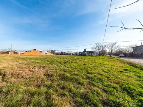 ANA GURMENDI Y 20 DE AGOSTO