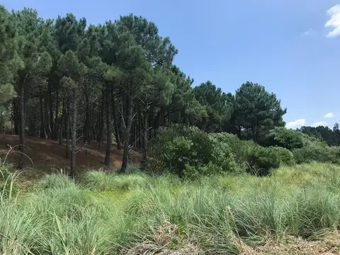 6 Lotes Unifamiliares en Mar Azul (L155)