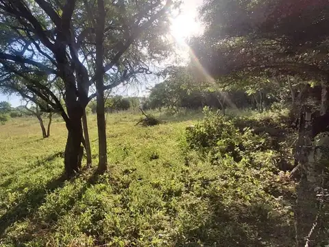 26.000 m2 de terreno en paraje la soledad Goya