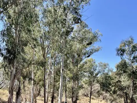 Inversor Venta Chacra - Villa Del Dique, Cordoba