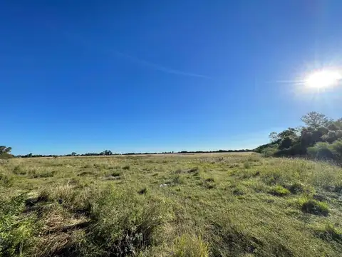 ruta 1