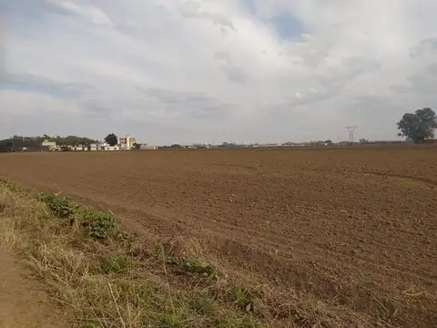 Ruta Provincial 21 200