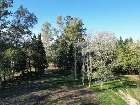 CAMPO EN CAMPANA RUTA 100