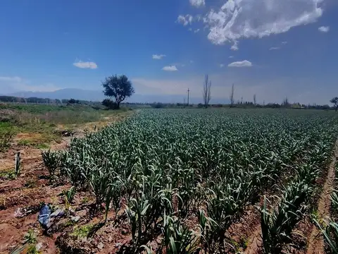 Cochabamba