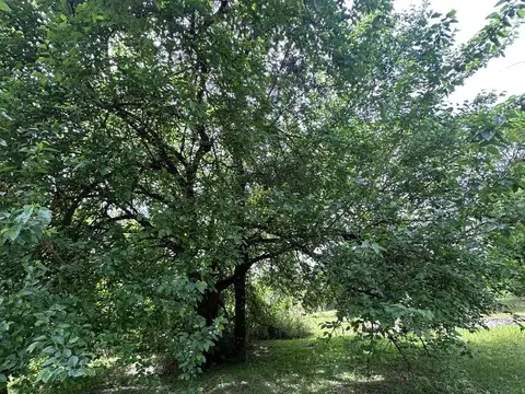 Terreno en Venta de 903,0 m2