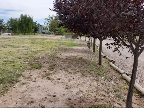 LICEO COUNTRY CLUB ETAPA IV, Vieytes