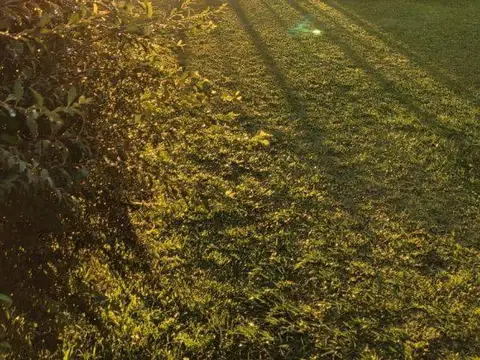 Casa en Venta de 10 dormitorios