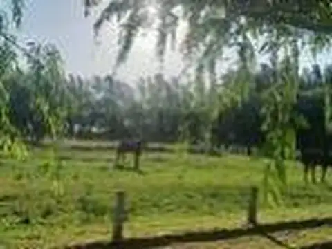 Terreno en Venta 46  mts Frente