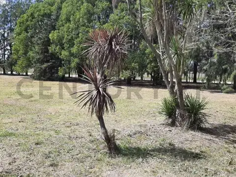 Lotes en venta en Haras del Sur