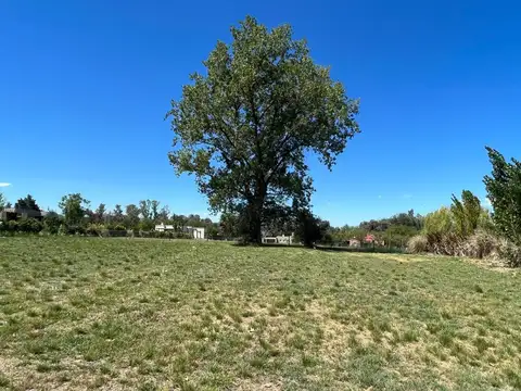 Terreno en Venta en Altos De Manzanares, USD 95.000