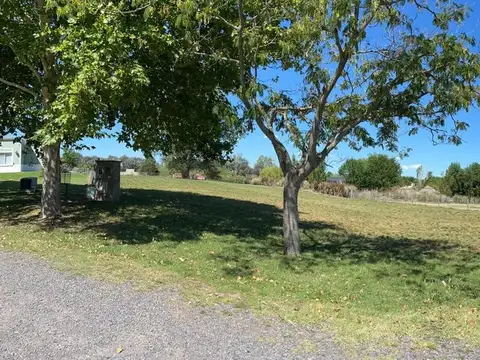 Terreno en Venta de 2342,0 m2