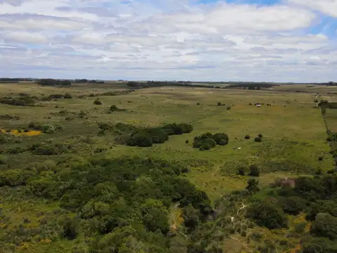 ruta 9 km 175 2400