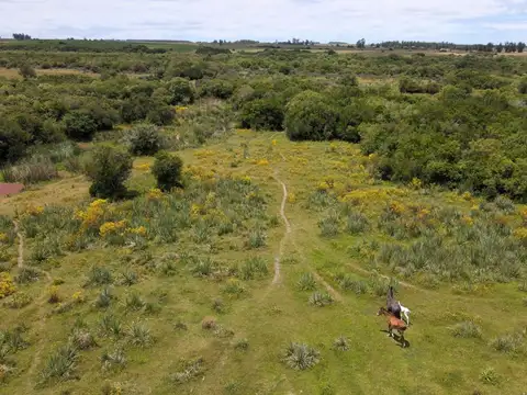 ruta 9 km 175 2400