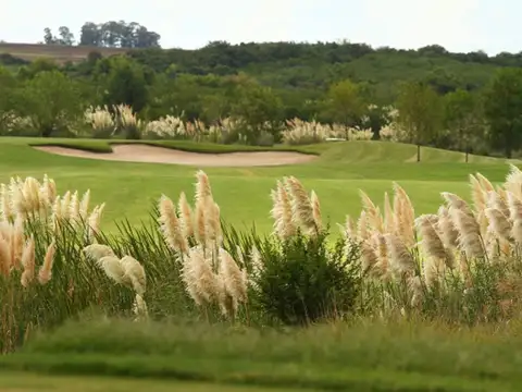 Terreno en Venta de 2065,0 m2