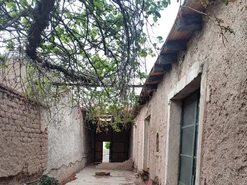 PATRICIAS MENDOCINAS 500