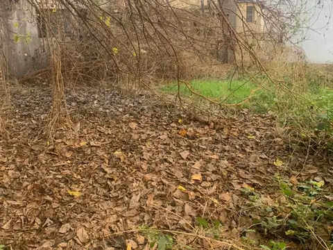 Galpon en Venta 9  mts Frente