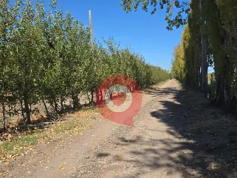 Ruta Provincial N°65 ,Gral Fernandez Oro