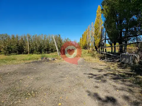 Chacra en Venta