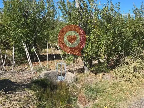 Chacra en Venta