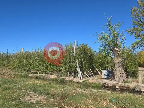 Chacra en Venta
