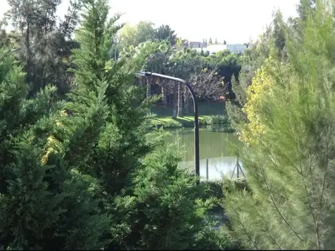 Departamento en Alquiler A Estrenar