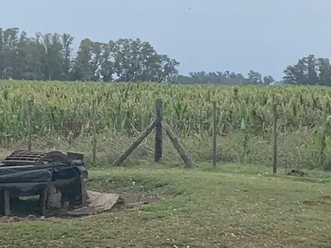 VENTA CAMPO  ROQUE PEREZ- PROVINCIA
