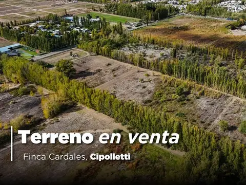 Terreno en Venta en Cipolletti, General Roca