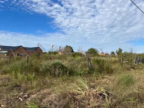 Los Cipreses, Lote 28