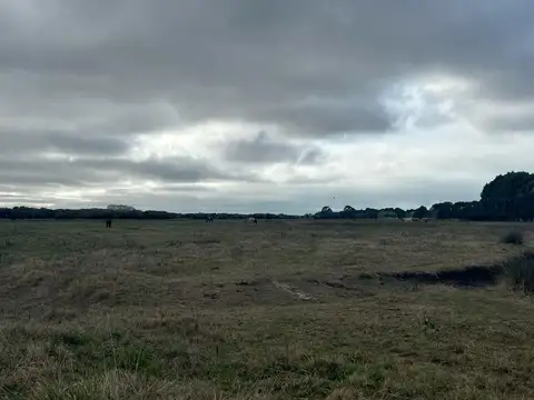 CHACRAS LAGUNA EL ROSARIO  