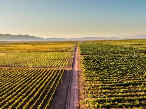 Terreno en Venta en Tinogasta, USD 14.000