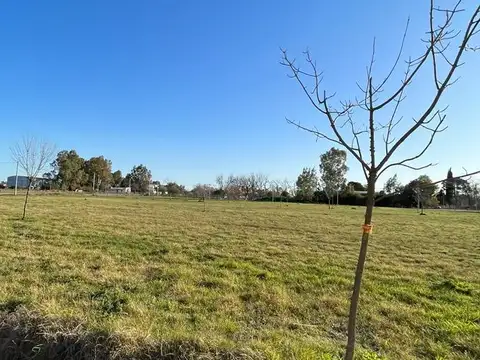 Terreno en Venta 41,46  mts Fondo
