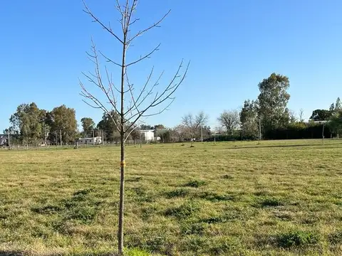 135 y circunvalación