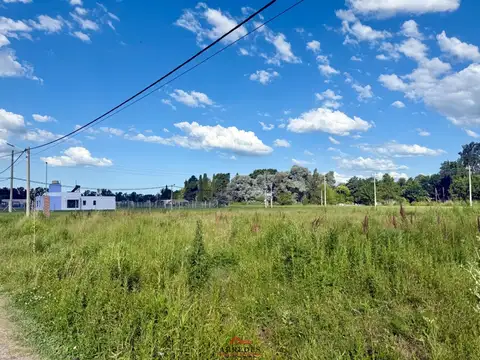 Venta · Lote con pilar de luz ·1500 m2 · Parque Robles 100