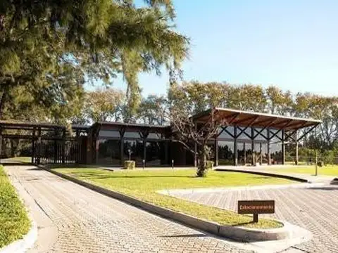 Azahares del Paraná