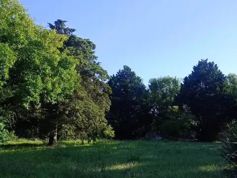 LOTE EN VENTA EN VILLA ELISA - LA PLATA