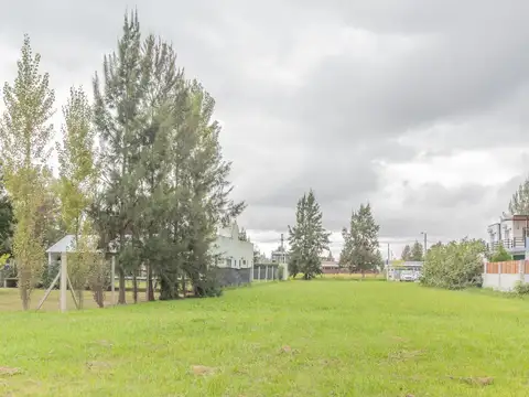 Terreno en Venta 42  mts Fondo