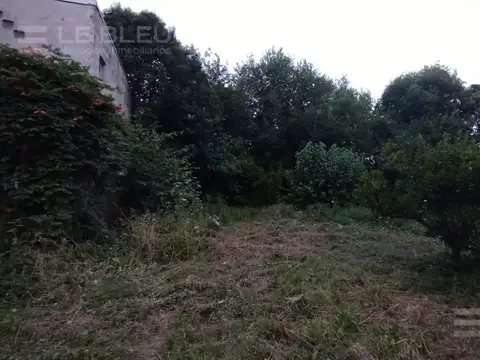 Terreno en Venta 40  mts Fondo
