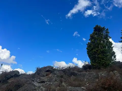 Peñon De Aguila