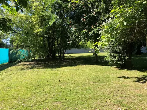 General San Martin 200