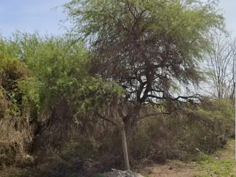 Terreno en Venta de 466,0 m2