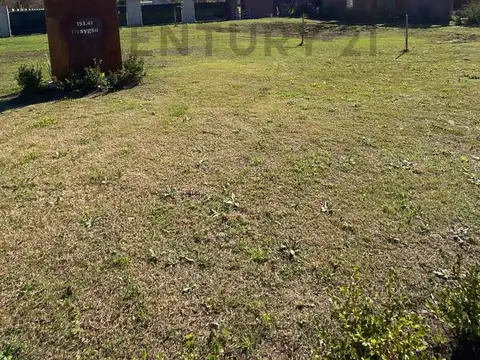 153 esq 41 , Piso 0