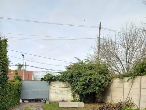 Cuyo 100