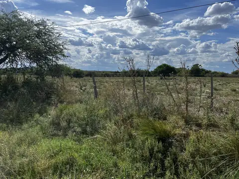Vendo Campo de 3 hectáreas en Concepción del Uruguay, Entre Ríos.