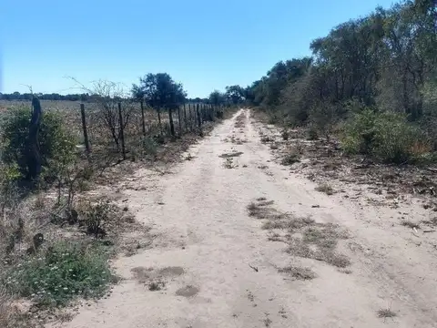 VENTA CAMPO AGRICOLA 342 HAS