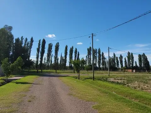VENTA GRAN TERRENO EN LAS PAREDES, SAN RAFAEL