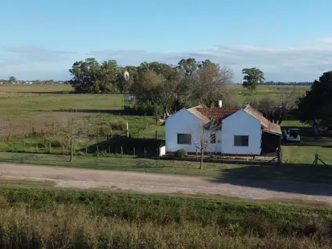 Campo en Venta en Ramallo, Partido de Ramallo