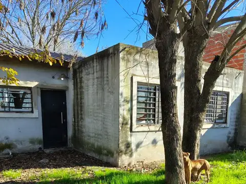 Miguel Martinez 100