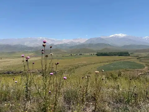 Lote en venta – las carreras, tupungato